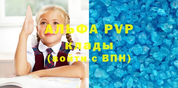 индика Михайлов