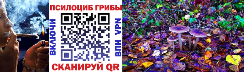 Псилоцибиновые грибы MAGIC MUSHROOMS  Тихорецк 